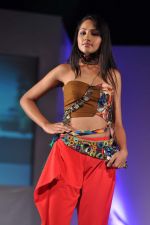 at Sophia college fashion show in Mumbai on 17th Feb 2012 (161).JPG